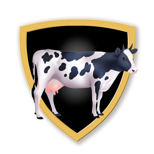 csülökápolási szolgáltatások